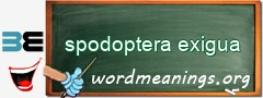 WordMeaning blackboard for spodoptera exigua